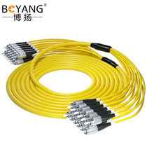Boyang 12-core can Branch Single-mode fiber jumper bundle fiber patch FC-FC15 BY-JS1533-12S