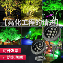 LED flood light Outdoor spot light Tree light Plug-in light Projection outdoor waterproof super bright lawn landscape garden light