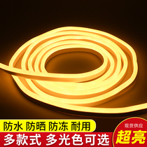 LED light with super bright waterproof led lamp with 220v living-room home ceiling decorated led wire light strip strip light strip
