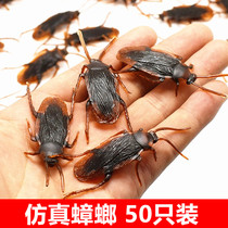 April Fools Day prank whole person gift trick fake cockroach simulation spoof toy fake bug scary and funny