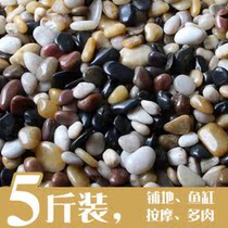 Foot Garden Goose Pebble Fish Pool Building View Adornment Courtyard Natural Stone Paving Stone Paving and Creative Breeding Turtle