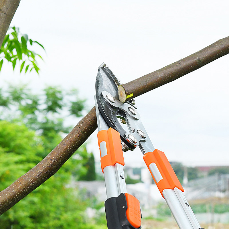 Pruning branch scissors thick branch scissors telescopic garden fruit tree powerful tool to pick fruit artifact large pruning shears
