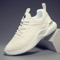 Summer breathable shoes Wild Sports Leisure running mesh mesh shoes tourism Men deodorant summer thin trendy shoes