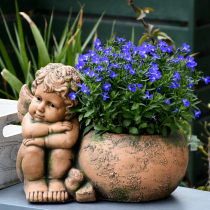 Garden Decoration Balcony Arrangement Antique Coarse Pottery Multi Meat Flower Pots Creative Cute Angel Swing Piece Personality Green Loo Potted Plant