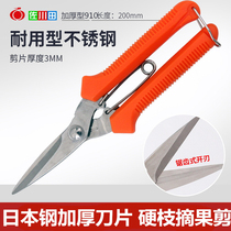 Sagawa Tian Japan imported stainless steel household flower scissors dragon fruit picking fruit cutting fruit fruit repair grape branch shears