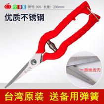 Sagawa Sawada Sawtooth Blade Stainless Steel Fruit Cut Fruit Shear Grape Trim Scissors