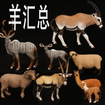 playful home Le Beifu animal simulation model toy Sheep goat Aries antelope Tibetan antelope children