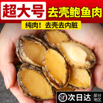 Fresh abalone meat live abalone freshly peeled pure meat teeth removed shell removed innards removed fresh frozen large abalone hot pot ingredients