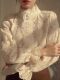 Lace shirt women's autumn and winter inner wear 2025 new French fashion temperament sweet and versatile high-end stand-up collar top
