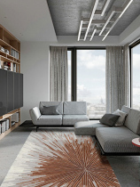 Turkey imported living room carpet Nordic ins bedroom bedside carpet Modern simple light luxury golden coffee table mat 3d