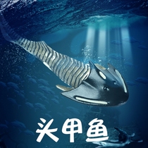 Lin Chang model playing childrens simulation ancient animal toy model head fish bone turtle prehistoric marine life