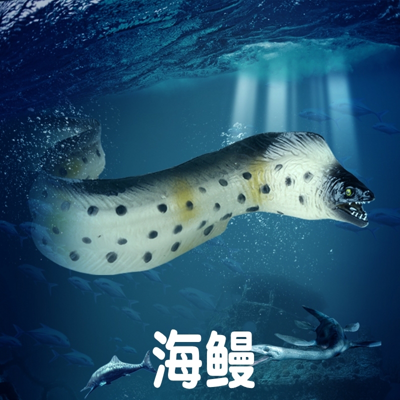 Lin Changmo Plays with Children's Marine Life Toys, Sea Eel Model, Simulated Eel, Underwater Animal Set, Boys' Cognition Lin Changmo Plays with Children's Marine Life Toys, Sea Eel Model, Simulated Eel, Underwater Animal Set, Boys' Cognition