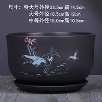 510 Sand Lotus Single и Medium