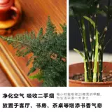 Эротический бамбуковый горшок для очистки настольного компьютера.