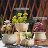 Грубая керамика Оригинальная почвенная стрельба неглазурованная суккулентная растительная керамическая цветочная горшка Простая творческая зеленая зеленая плантационная комбинация