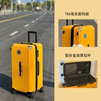 Рыжий амортизирующий тормоз, колесо