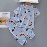 DL506-Short-Light Bear Drive