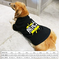 Black Bear Child Spring