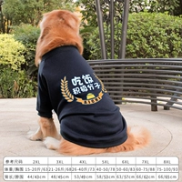 Black Feating Activist Spring Style