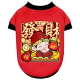 Одежда для щенков через новогодние костюмы, празднуя кошку Тингди, чем красота зимних домашних животных, чтобы разбогатеть в зимних домашних животных