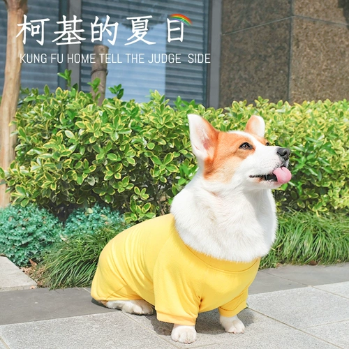 Осенний демисезонный пуховик, желтый зимний шнурок-держатель