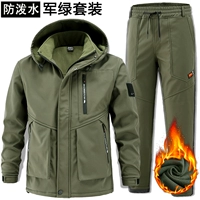 6536 Армия Зеленая