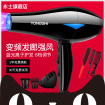 Yongshi electric hair dryer home barber shop high-power negative ion does not hurt the cold hot air pipe hair salon special dormitory
