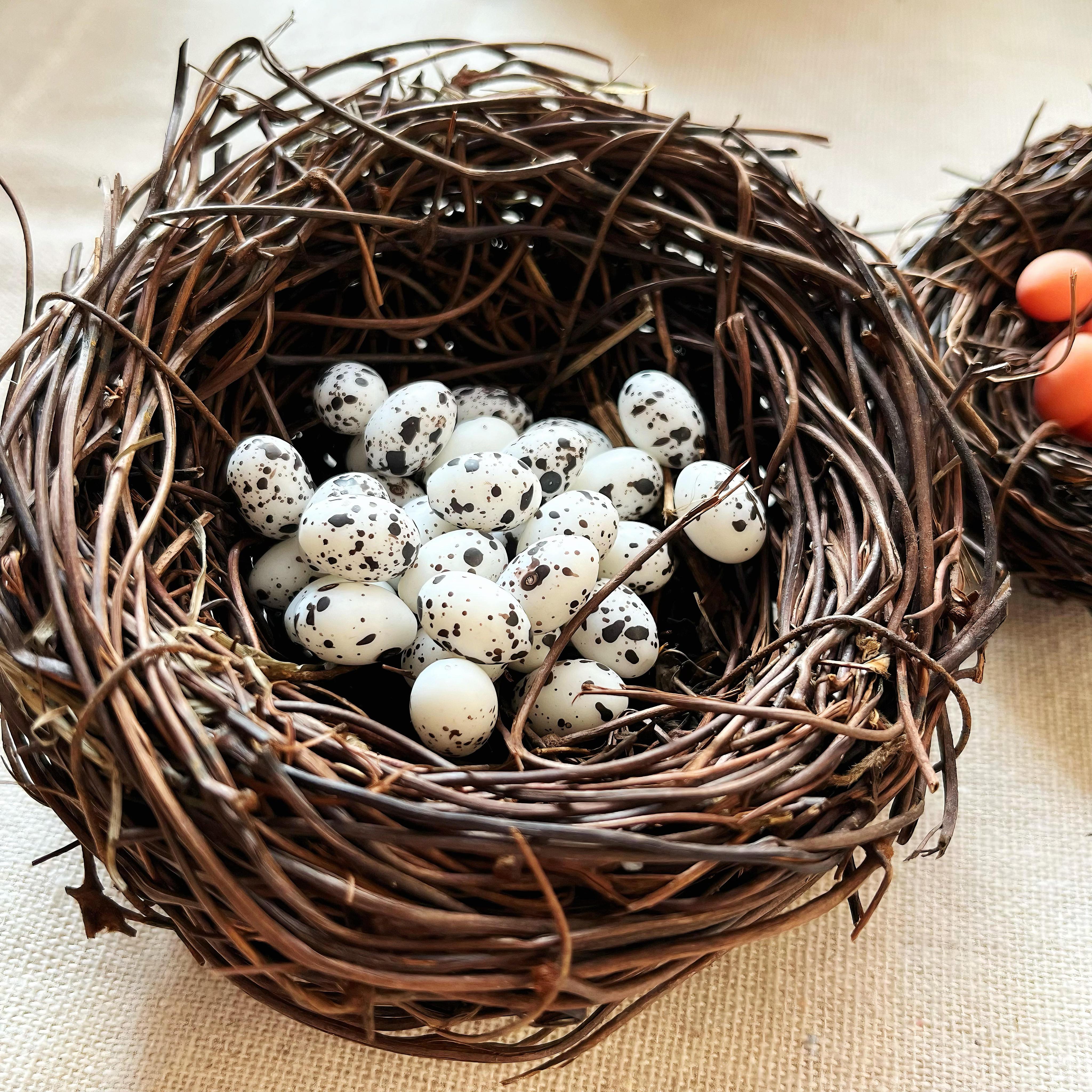 □Ｄ・イェンセン□Birds nest◇Ｂ＆Ｇmodel master◇希少◇ 2025 hot style recommendation｜bird's nest artificial micro