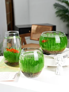 Lazy Ecological Bottlefling Self -Cycling Frest, чтобы заботиться об экологическом изысканном малом рыбном аквариуме Водное растение Экологическое цилиндр DIY Микро -ландшафт