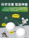 Car mouse-proof artifact for engine compartment special car-mounted camphor balls to drive off rats inside small car mouse stinky pills