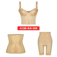 Niya corset khuôn đồ lót ba mảnh xác thực Cơ quan quản lý cơ thể Antiochian - Corset hai mảnh áo định hình nam