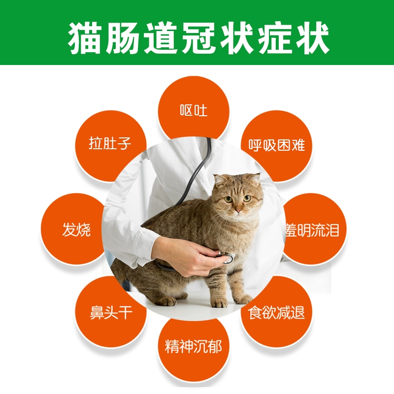 Mèo vương miện fciv pet test giấy mèo phát hiện nôn mửa thẻ đơn phát hiện bụng tiêu hóa bệnh tiêu hóa - Cat / Dog Medical Supplies