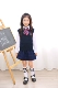 Quần áo mẫu giáo áo len mùa xuân và mùa thu áo len Anh phong cách phục vụ lớp học trẻ em đồng phục tiểu học Hàn Quốc mùa thu đông - Đồng phục trường học / tùy chỉnh thực hiện
