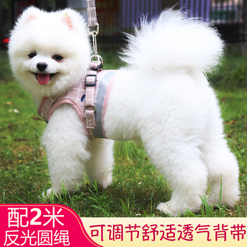 Dog Traction Rope Teddy Boaesthetic Vest Style Walking Dog Rope Dog Chain Subsmall Dog Mid-dog Cat Rope Pet Supplies-Taobao