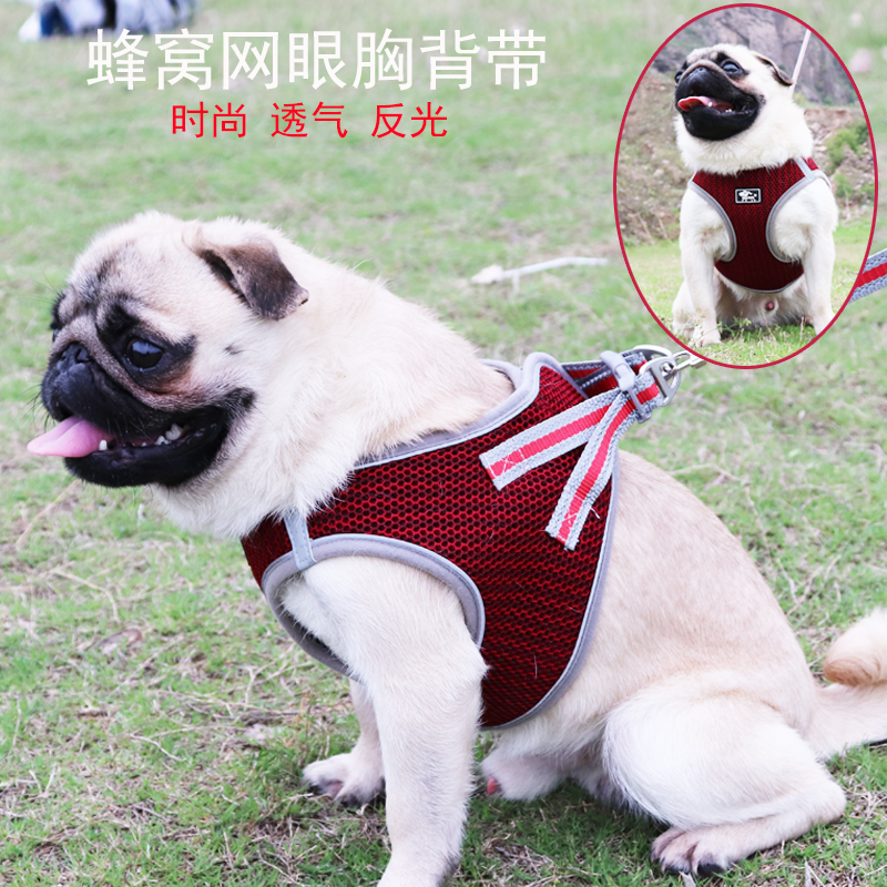 Pug dog traction rope walking dog rope small dog medium-sized dog French Pug Corgi Schnauzer traction rope dog chain