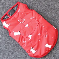 Красный кот