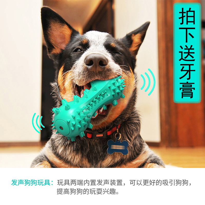 Pet dog toothbrush dog toy molar cleaning teeth bite-resistant golden retriever corgi horse border collie odorless rubber toy