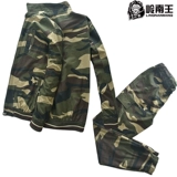 Хлопок Miscelona установит мужской мужской xia zheli cracs fish textil