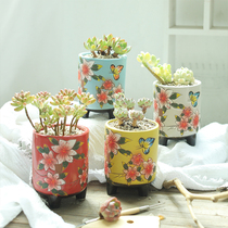 Jingdezhen hand-painted multi-meat flowerpots Creative Korean style Masters coarse pottery personality Yanxi basin ceramic green plant with large basin clear cabin
