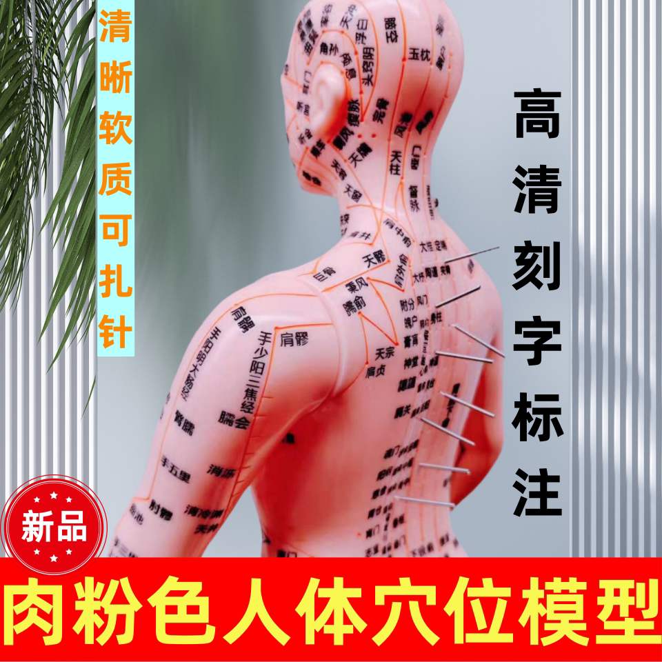 新品仿真家用人体经络穴位模型肉粉色十二经络男女全身中医小皮人