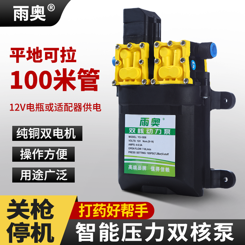12 V Strong intelligent double pump 12V sprayer modified high power double pump high-pressure beating medicine carwash watering water pump-Taobao