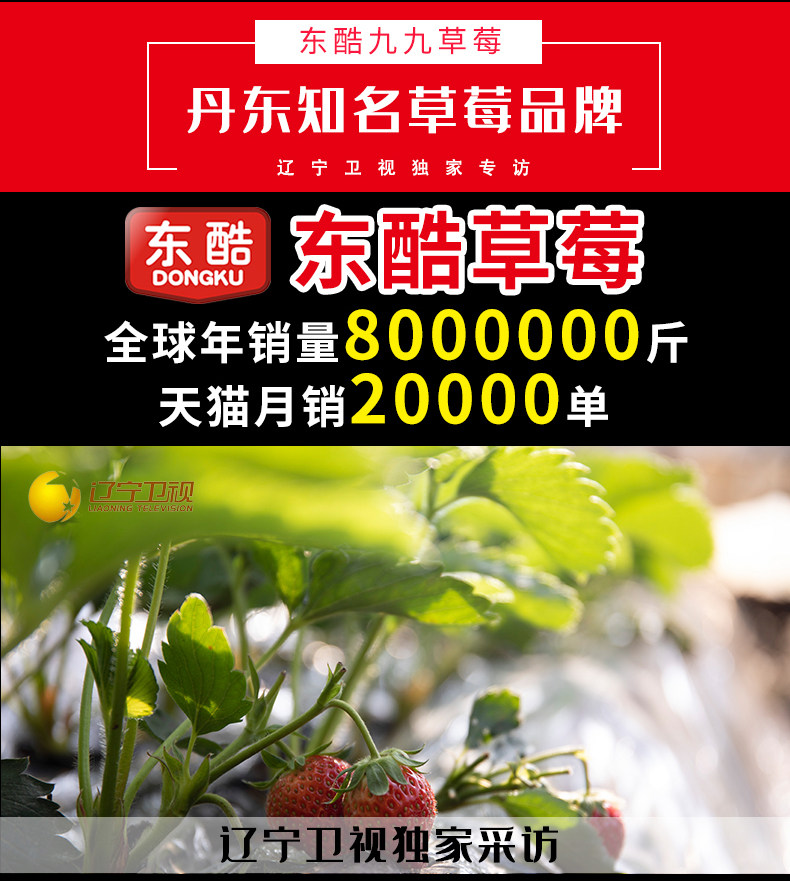 东酷 丹东99新鲜草莓 3斤 图2