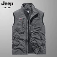 Серый [обычная модель]