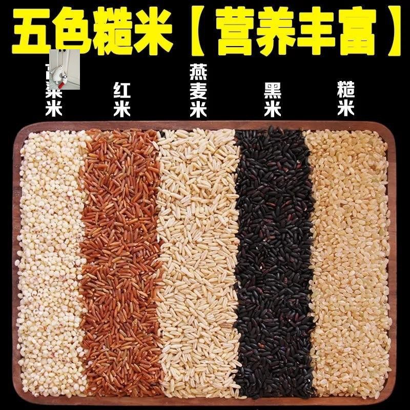 Hefei Lepleasure Future E-commerce Limited to Buy 3 catties for 2 catties of five color rough rice healthy substitute 500g