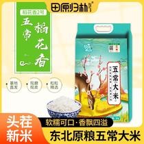 Tian Originally Attributed to Park Grain Oil Zhengzong Rice Wuchang Heilongjiang New Rice Glutinous Rice Soft Glutinous Rice Soft Glutinous Rice Soft Glutinous Delicious 10 Kaggi