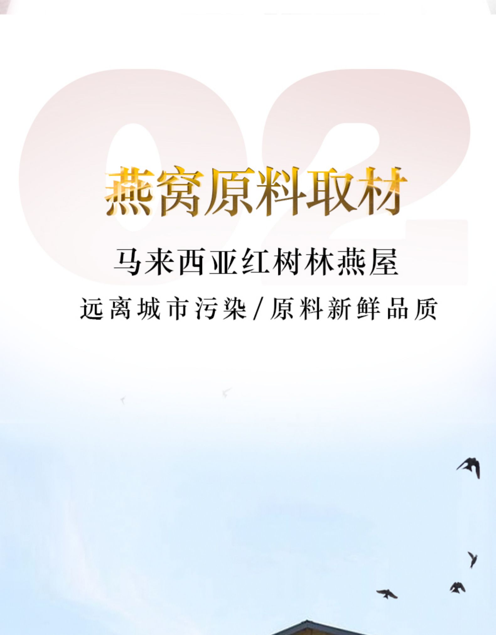 希尔顿酒店供应商 茗挚 小金碗 即食冰糖燕窝 100g*10碗 礼盒装 图7