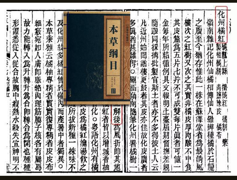 橘州贡品 化州橘红6年陈片 100克 健胃行气 化痰止咳 图17