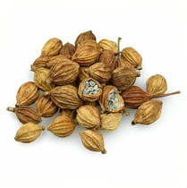 5 pieces of high-quality Chinese medicinal materials Chuan Amomum villosum Fragrant Amomum villosum 500g