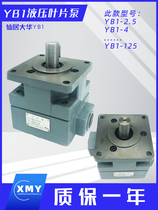 Xianju Dahua hydraulic vane pump YB1-10 hydraulic gear oil pump YB1-16 20 32 80 100 positive
