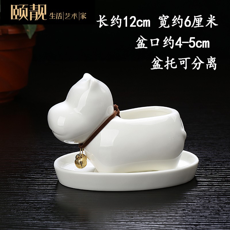 Express cartoon of fleshy flower pot the plants white ceramic creative contracted a rectangle special offer a clearance package mail